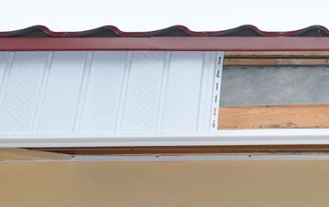 Dene fascia repair costs