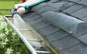 Dene gutter cleaning costs