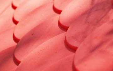 Dene plastic roof costs